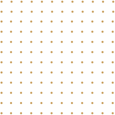 demo-lawyer-home-dotted-pattern